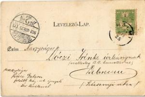 1902 Halmi, Halmeu; Református és római katolikus templom, állami gazdasági iskola, Merza József fűs...