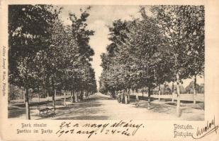 1902 Pöstyén, Pistyan, Piestany;  Park. Kiadja Julius Lampl / park (EK)