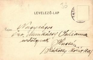 1902 Pöstyén, Pistyan, Piestany;  Park. Kiadja Julius Lampl / park (EK)