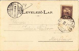 1901 Kolozsvár, Cluj; Vöröskereszt-egylet Erzsébet Mária kórháza, Erzsébet szoba, Ilona pavilon. Dun...