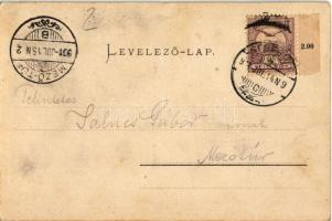 1901 Segesvár, Schässburg, Sighisoara; Villa Franca. Fritz Teutsch Art Nouveau, litho