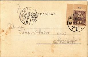 1901 Nagyszeben, Hermannstadt, Sibiu; Erlenpark mit Garnisons-Spital / Osztrák-magyar helyőrségi kór...