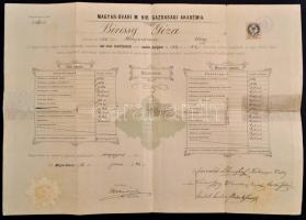 1885 Mosonmagyaróvár, A magyar-óvári magyar királyi gazdasági akadémia végbizonyítványa, hátoldalon ...
