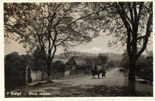 Galgó, Galgau; utcakép, ökrök / street view, oxen