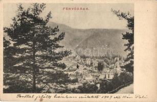 1907 Fenyőháza, Lubochna; látkép / general view