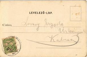 1902 Fajsz, Római katolikus plébánia és iskola. Kiadja Stern Jakab (EK)