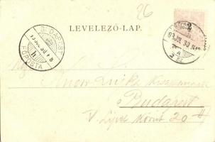 1899 Kovácspatak, Kovacov (Esztergom); vasúti gyalogátkelőhely, "Eladó villatelkek" tábla....