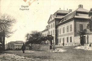 1911 Ungvár, Uzshorod, Uzhhorod, Uzhorod; Megyeháza / county hall (fa)
