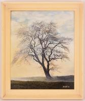 Boda Balázs (1954- ): A magány, olaj, farost, jelzett, fa keretben, 50×40 cm