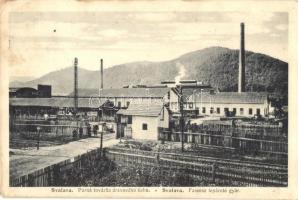 Szolyva, Svalava, Svaliava; Parná továrna drevového liehu / Faszesz lepároló gyár. Kiadja Morvay Andor / wood alcohol distillery (EK)