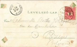 1894 (Vorläufer!) Budapest, Nemzeti múzeum és színház, Központi pályaudvar, Új országház, Műegyetem....