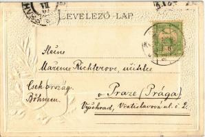 1901 Győr, Városház. Passepartoutkarte Nitsmann J. kiadása. Magyar címeres dombornyomott litho / Coa...