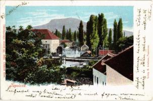 1900 Tapolca, vízimalom. Löwy B. kiadása (EK)