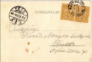 1901 Nagybajom, Somogy-Nagybajom; Kongó út. Steiner Ignác és fia kiadása (EK)