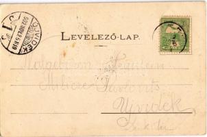 1902 Titel, Hajóhíd, Fő utca, Anker szálloda, Vasúti indóház, vasútállomás. Nonnenmacher Endre kiadá...