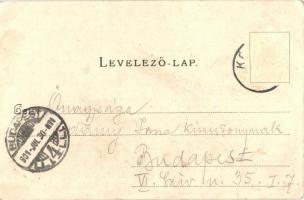 1901 Késmárk, Kezmarok; Thököly vár. Kiadja Reiner Miklós / Schloss / castle (EK)