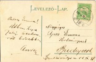 1909 Füzesabony, Vasútállomás. Montázs boros pohárral és szőlővel / Bahnhof / railway station. Monta...