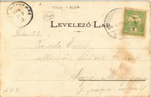 1904 Tövis, Teius; Oroszlán szálloda, Gyulafehérvári út, gyógypataki fahíd, indóház (Erdély első csa...