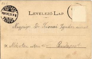 1900 Piski, Simeria; vasútállomás és kert. Honisch fényképész felvétele és Gyulai József kiadása / B...