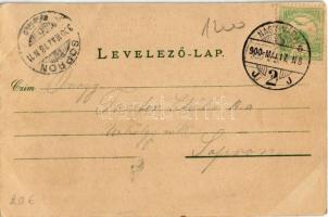 1900 Félixfürdő, Baile Felix; Hőforrás. Lang József kiadása / spa