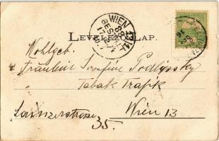 1904 Püspökladány, látkép. Özv. Illés Elekné kiadása (EK)