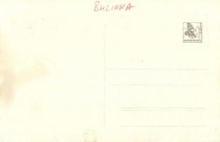 Buzinka, Saca (Kassa, Kosice); Semsey kastély és park / castle and park. photo