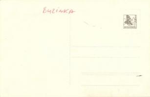 Buzinka, Saca (Kassa, Kosice); Semsey kastély és park / castle and park. photo