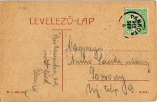 1912 Pankota, Pancota; Csíky Gergely út, Lengyel Sándor és Schubert és társai üzlete. W.L. 5420. / s...