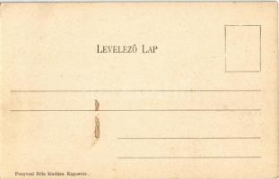 Kaposvár, Fő utca, Müller Pál cipész, Fenyvesi Béla üzlete és saját kiadása  (Rb)