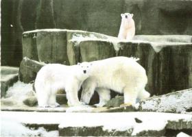 47 db MODERN képeslap vegyesen, városképes lapok és motívumlapok / 47 MODERN postcards mixed, town-v...