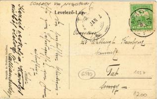 1907 Nagyatád, Artési gyógyfürdőház. Benyák és Politzer kiadása