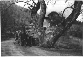 5 db MODERN magyar kirándulás és turizmus motívumlap (Dobogókő, Pilis, Börzsöny, Mecsek, Bükk) / 5 M...