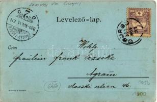 1900 Csurgó, Somogy-Csurgó; Tanítóképezde, Főgimnázium, Nagyvendéglő, Takarékpénztár, Tűzoltó laktan...