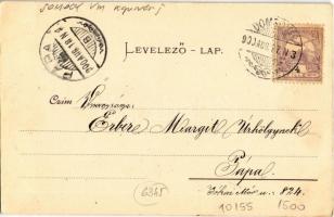 1900 Kaposvár, utcaképek és üzletek. Hagelman Károly kiadása, Art Nouveau