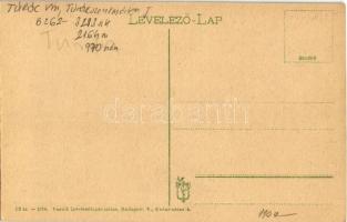 Ruttka, Vrutky; Fő utca, Fisch testvérek és Szétsényi Ferencz üzlete / main street with shops