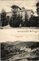 1912 Ménes, Minis; Lori lak, Ortutay Villa / villas (ragasztónyom / gluemark)