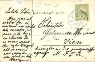 1907 Herkulesfürdő, Baile Herculane; Villa Elisabeth. Kiadják a Müller Testvérek / villa (EK)