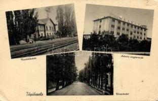 Tápiószele vasútállomással, magtermelővel