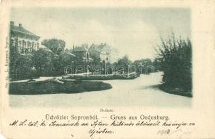 16 db régi magyar városképes lap / 16 pre-1945 Hungarian town-view postcards