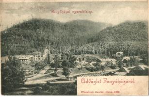 1905 Fenyőháza, Lubochna; nyaralótelep, nyaralók. Kiadja Wlaszlovits Gusztáv 1438. / villas (vágott / cut)