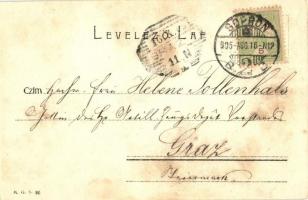 1905 Sopron, Déli Vasút pályaudvar, vasútállomás, vagon, vasutasok. M.G.S. 86