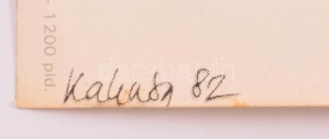 Ingmar Bergman: Jelentek a bábuk életéből filmplakát. 40x60 cm