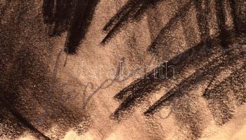 Szegedi Molnár Géza (1906-1970): Portré.Ceruza, papír. Jelzett.  48x40 cm