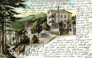 Sommerstein Sanatorium