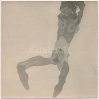 Bildnis (Zeichnung). Lichtdruck v. Max Jaffé. Verlag der Buchhandlung Richard Lányi s: Egon Schiele ...