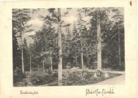 Bártfa, Bártfafürdő, Bardejovské Kúpele, Bardiov;  Erdő, út / forest, road (vágott / cut)