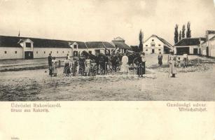 Rákfalu, Rakovicz, Rakovice; Gazdasági udvar / Wirtschaftshof / farmstead, farmyard (kis sarokhiány / small corner shortage)