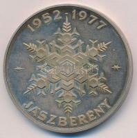 1977. "25 éves a hűtőgépgyár / 1952-1977 Jászberény" peremén jelzett Ag emlékérem (43g/0.8...