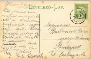 1909 Borostyánkő, Bernstein; Máger József vegyeskereskedése, vár a háttérben. A. Pelnitschar kiadása...