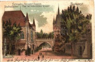 Budapest XIV. Városliget, Történelmi főcsoport kapuja, Vajdahunyad vára. Gustav Ertel Art Nouveau, litho (Rb)